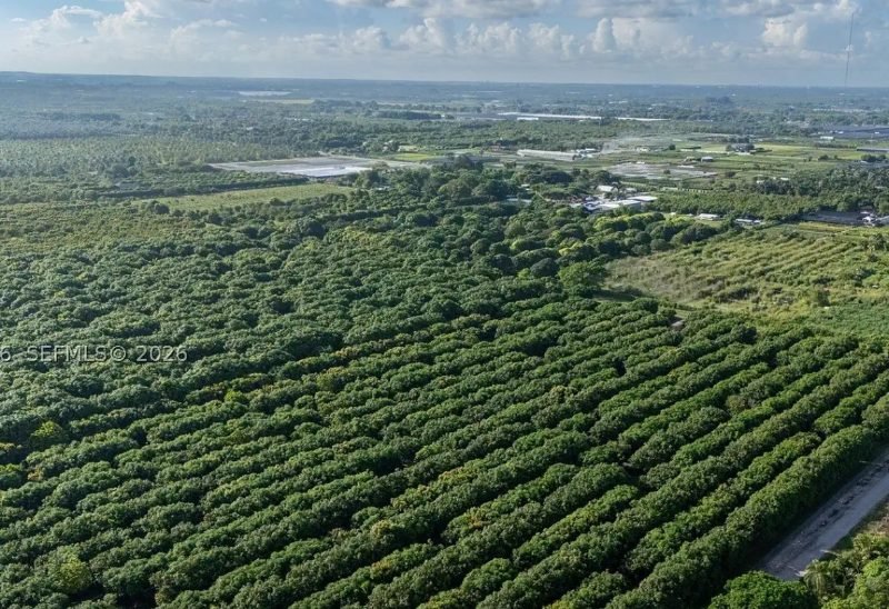 Land & Pre-development Financing services in Miami, Florida